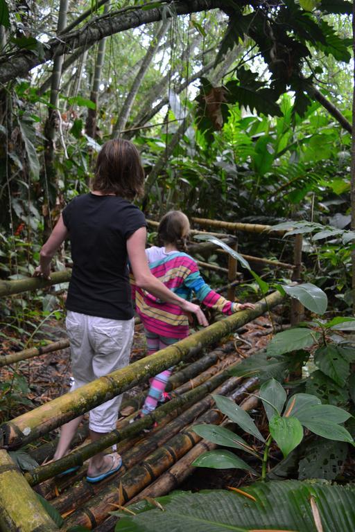 El Jardin De Los Colibries - Pereira, Risaralda Exteriör bild